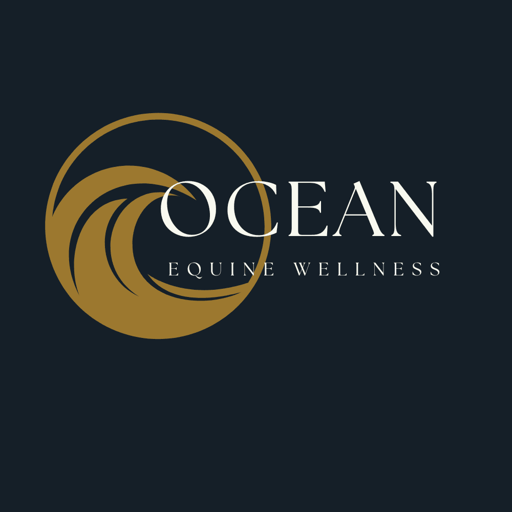 Ocean Equine wellness en training