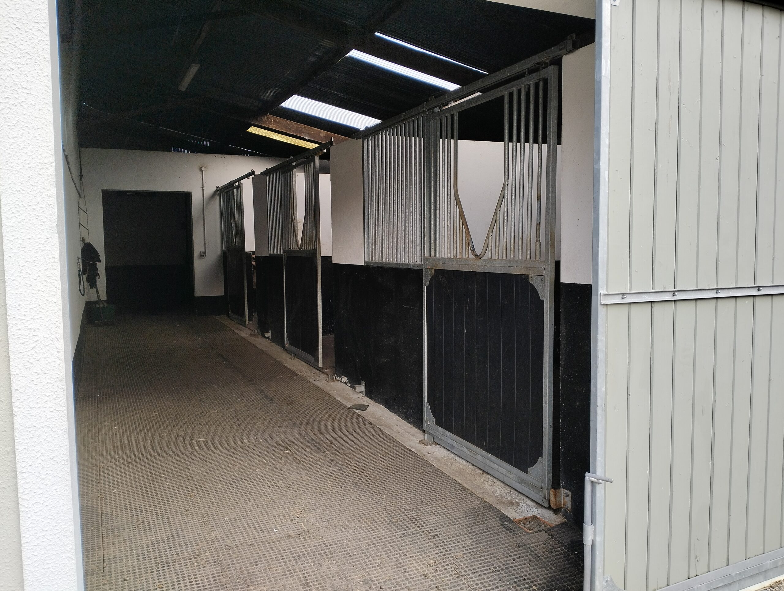 Small stable, maximum care - Image 5