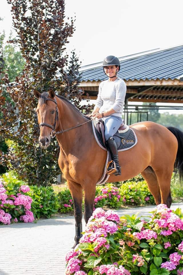 Fully Equipped Showjumping Stable in the South of The Netherlands - Image 4