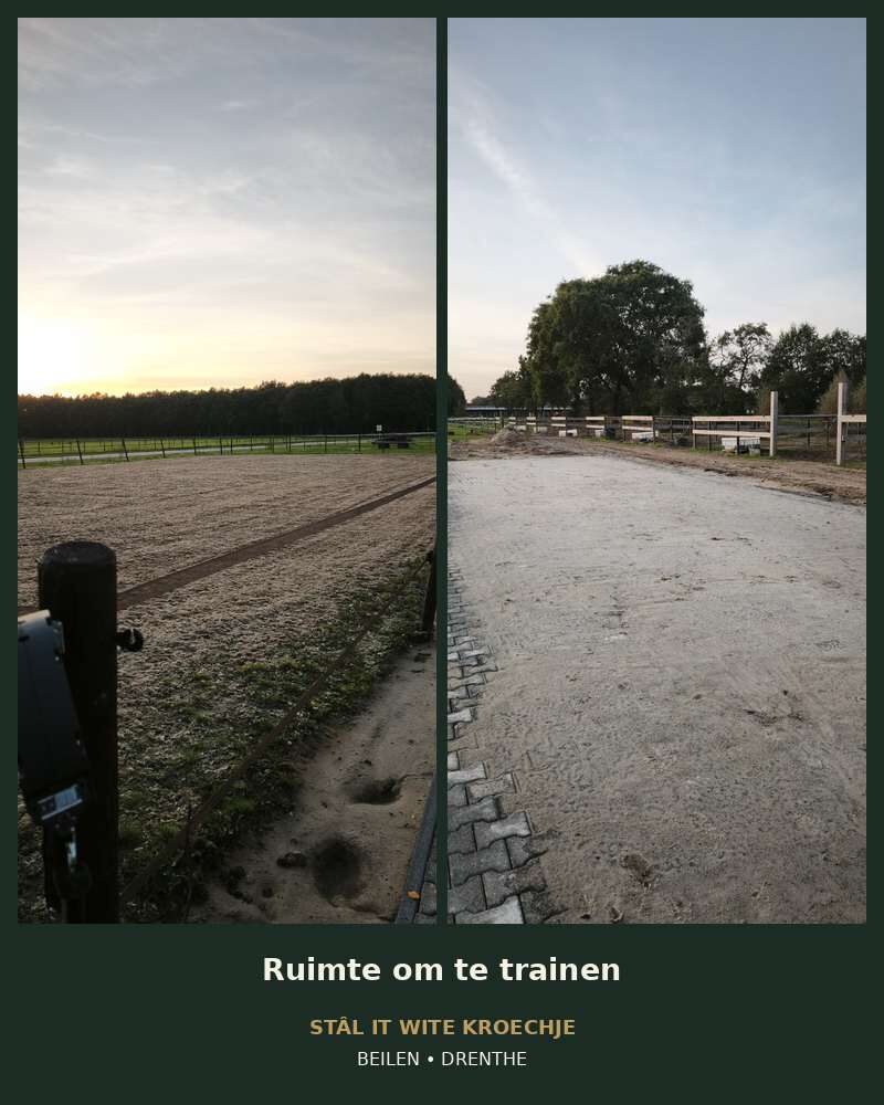 Stâl it wite kroechje - Image 3