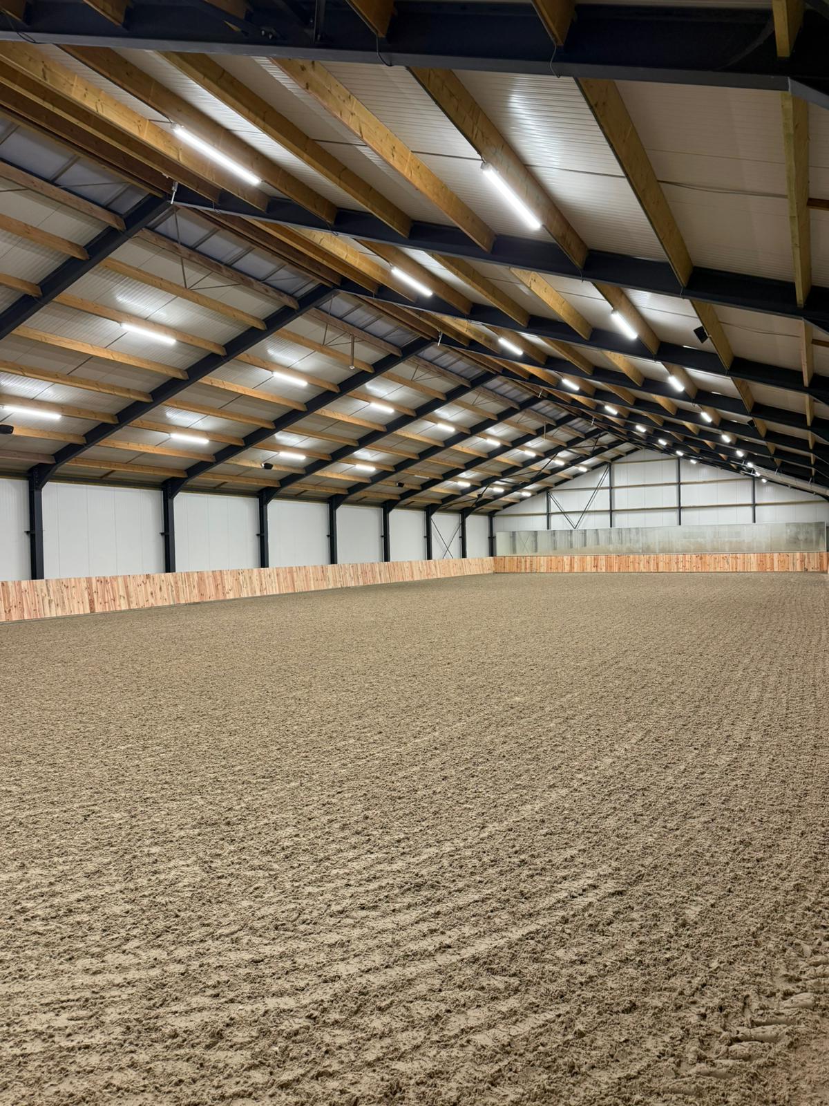 MH Sporthorses - Image 3