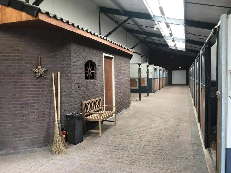 Fully Equipped Showjumping Stable in the South of The Netherlands - Image 5