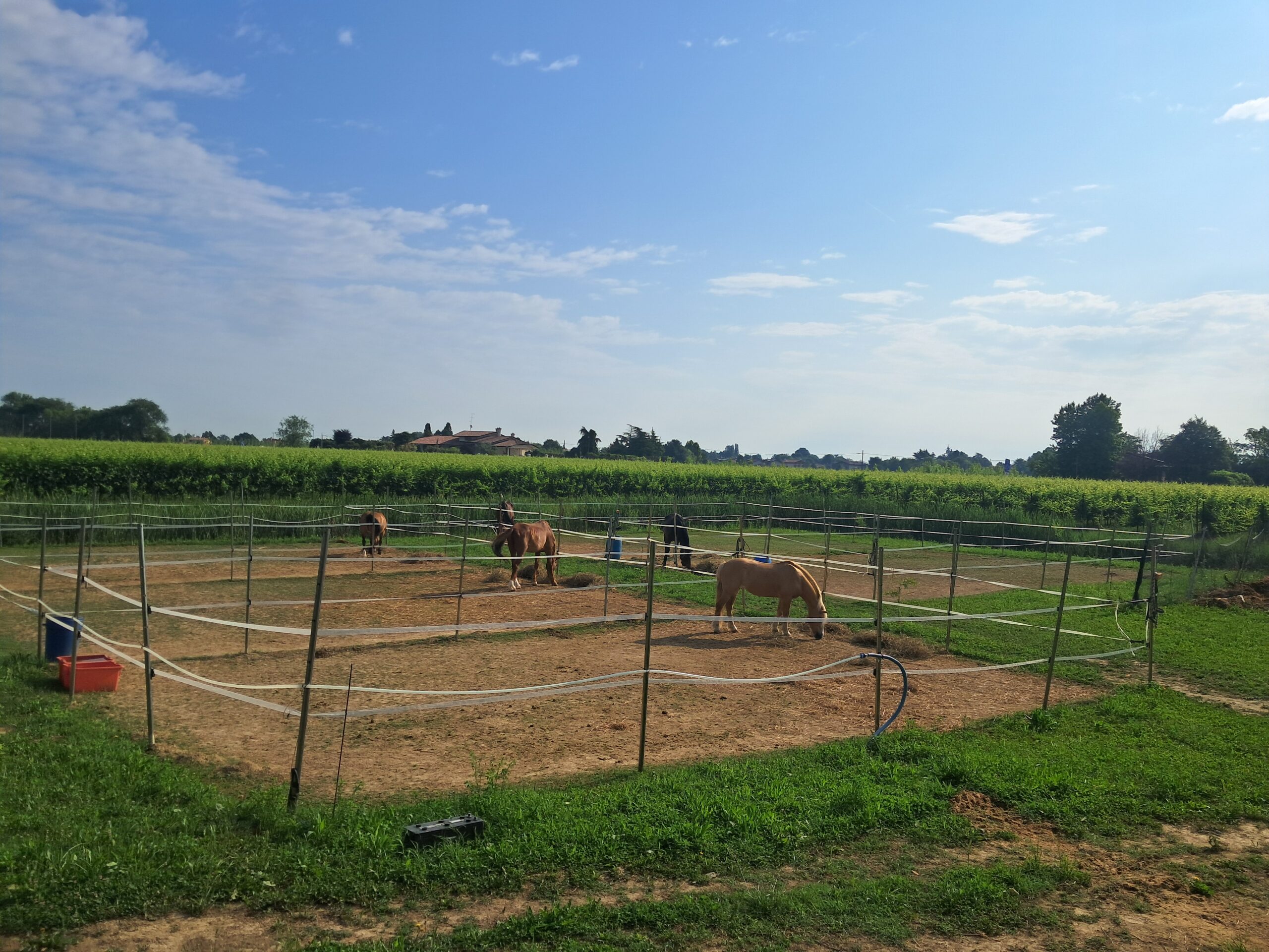 Exclusive Full Property at Royal Horse Club - Perfect for Your Horse's Needs - Image 7