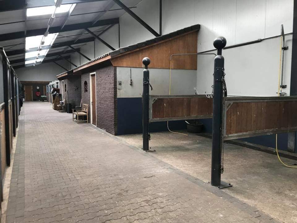 Fully Equipped Showjumping Stable in the South of The Netherlands - Image 6
