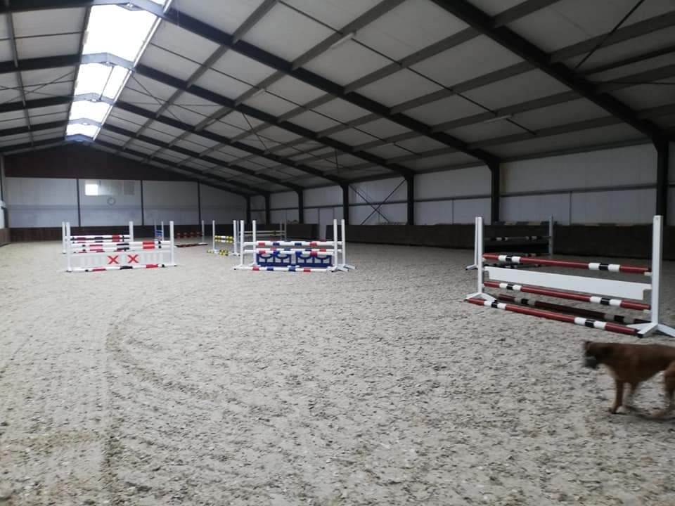 Fully Equipped Showjumping Stable in the South of The Netherlands - Image 3