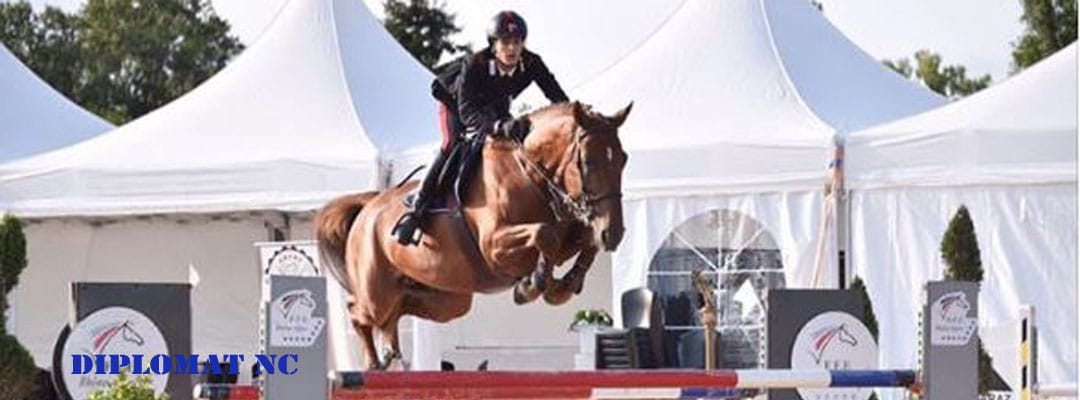 NC Stables - Image 2