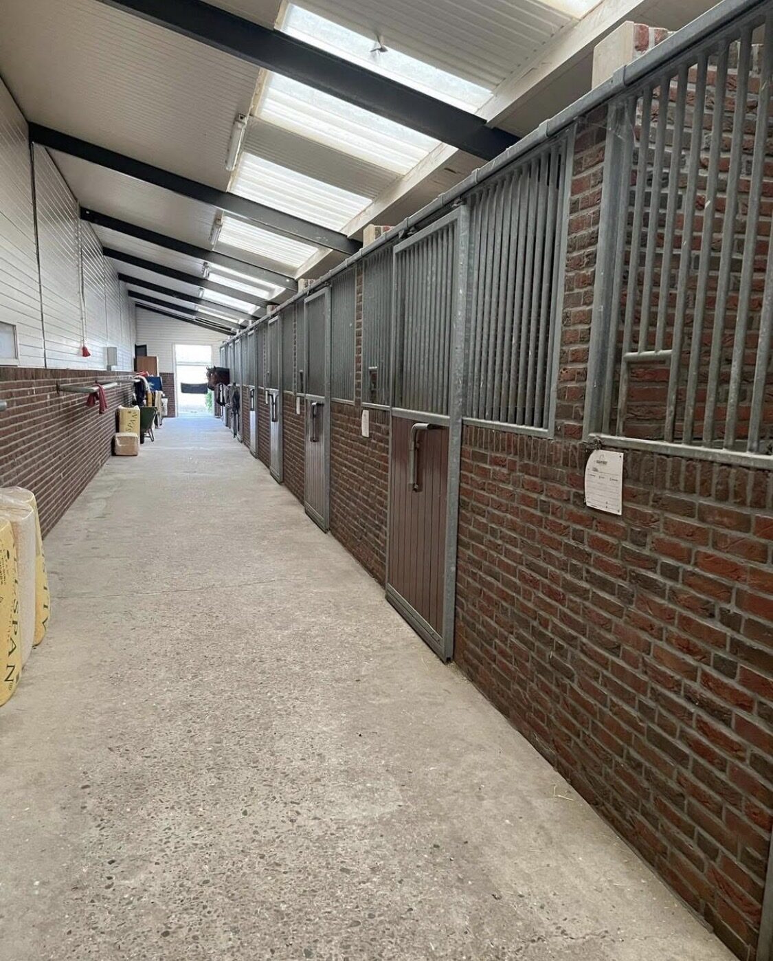 Professional show jumping stable - Image 2